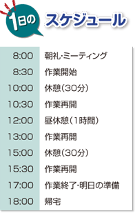 1日のスケジュール